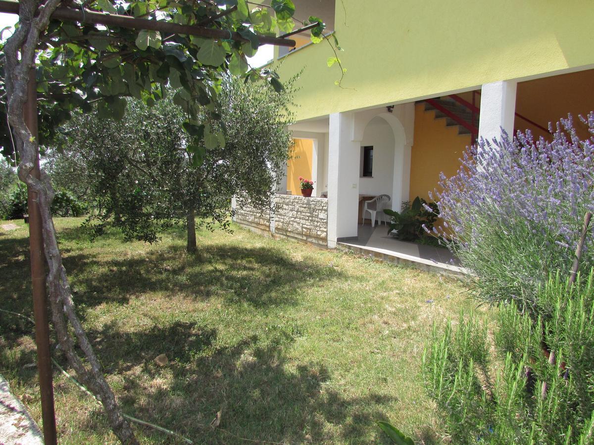 אומאג Apartments Goga מראה חיצוני תמונה