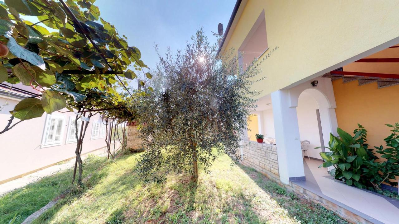 אומאג Apartments Goga מראה חיצוני תמונה