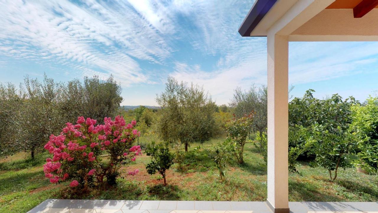 אומאג Apartments Goga מראה חיצוני תמונה